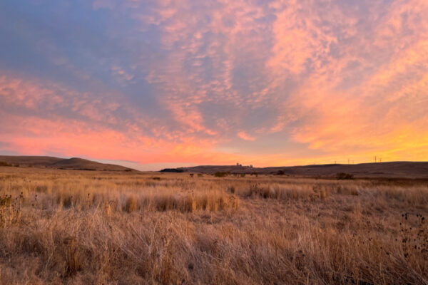 What Are Influencer Engagement Marketplaces (and How to Use) 25 grass field