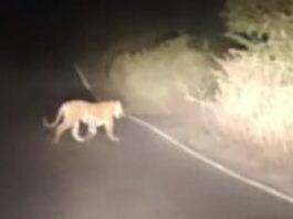 img 20251128 wa0010(1)