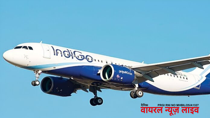 indigo1200-1765254504.jpg