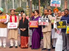 inshot 20251202 163852274