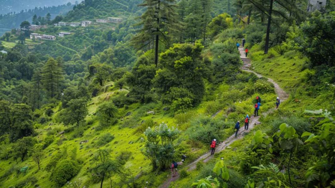 Pahalgam Attack : जम्मू-कश्मीर में बंद कर दी गयी सभी तरह की ट्रेकिंग गतिविधियां, Details | Pahalgam Attack: All types of trekking activities stopped in Jammu and Kashmir, Details Pahalgam Attack : जम्मू-कश्मीर में बंद कर दी गयी सभी तरह की ट्रेकिंग गतिविधियां, Details | Pahalgam Attack: All types of trekking activities stopped in Jammu and Kashmir, Details