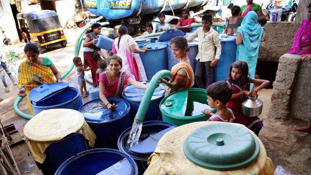 Selective focus photography of orange fox life Selective focus photography of orange fox life