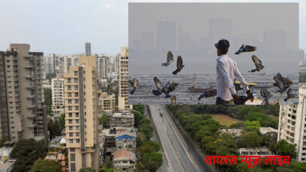 Mumbai Weather: मुंबई में सुबह का मौसम हुआ सर्द, क्या होगी बारिश? IMD ने जारी किया अलर्ट | Mumbai Weather: Mornings are getting colder, day is hotter? know imd weather update Mumbai Weather: मुंबई में सुबह का मौसम हुआ सर्द, क्या होगी बारिश? IMD ने जारी किया अलर्ट | Mumbai Weather: Mornings are getting colder, day is hotter? know imd weather update