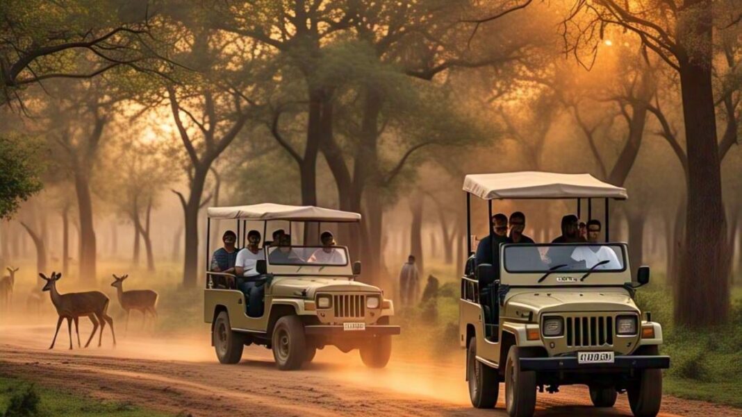 नोएडा में खुलने वाला है पहला Deer Park, डूबता सूरज बनेगा आपके Sunset सफारी का साथी | Noida first Deer Park opening soon, with Sunset Safari location and features नोएडा में खुलने वाला है पहला Deer Park, डूबता सूरज बनेगा आपके Sunset सफारी का साथी | Noida first Deer Park opening soon, with Sunset Safari location and features