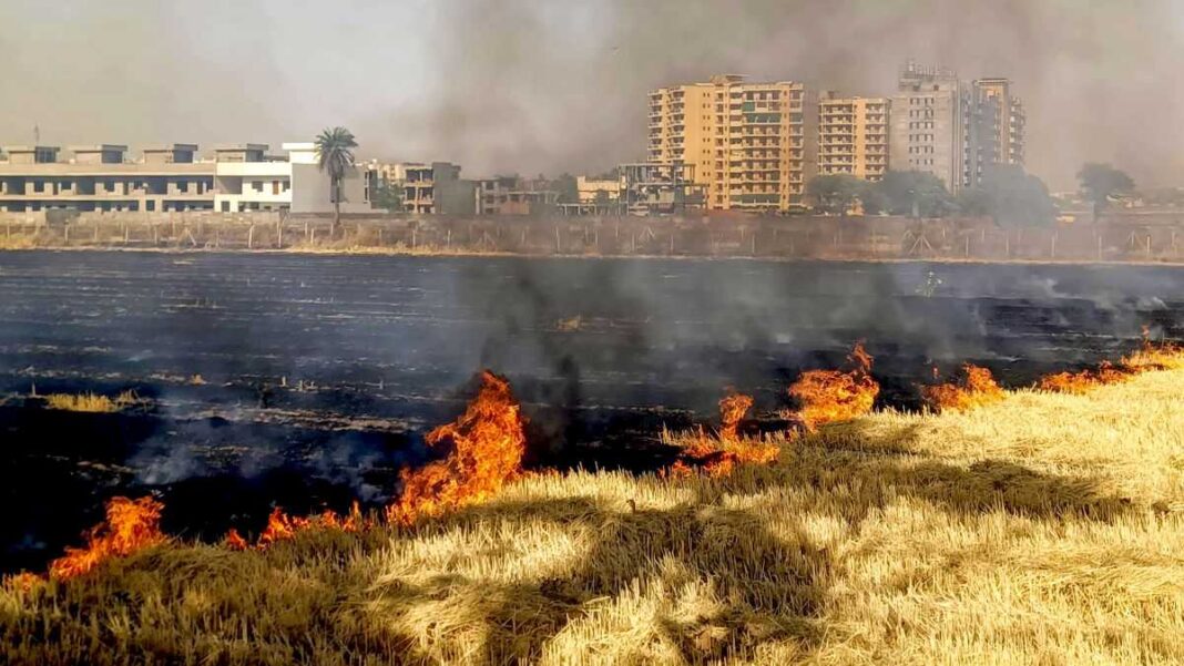 UP में पराली जलाने के मामले 18% बढ़े! 7,290 आग की घटनाओं ने बढ़ाई NCR में ‘स्मॉग इमरजेंसी’ की आशंका | air pollution news stubble burning cases jump by 18 in uttar pradesh this year UP में पराली जलाने के मामले 18% बढ़े! 7,290 आग की घटनाओं ने बढ़ाई NCR में ‘स्मॉग इमरजेंसी’ की आशंका | air pollution news stubble burning cases jump by 18 in uttar pradesh this year