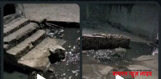 मलकापूर | प्रभाग क्रमांक ९ मध्ये नाल्यांच्या स्वच्छतेअभावी गंभीर परिस्थिती