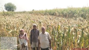 अवकाळी पावसाने शेतात झोपलेली पिके शिवसेना (उबाठा) ने तहसीलदारांच्या दालनात आणून टाकण्याच्या धास्तीने भाडगणी येथील नुकसानग्रस्त शेतकऱ्यांचा प्रशासनाने केला सर्व्हे 2 IMG 20260327 WA0000