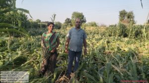 अवकाळी पावसाने शेतात झोपलेली पिके शिवसेना (उबाठा) ने तहसीलदारांच्या दालनात आणून टाकण्याच्या धास्तीने भाडगणी येथील नुकसानग्रस्त शेतकऱ्यांचा प्रशासनाने केला सर्व्हे 1 IMG 20260327 WA0001