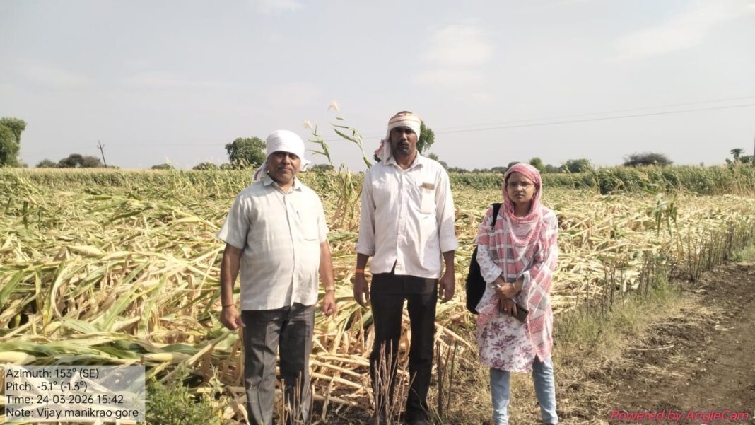 अवकाळी पावसाने शेतात झोपलेली पिके शिवसेना (उबाठा) ने तहसीलदारांच्या दालनात आणून टाकण्याच्या धास्तीने भाडगणी येथील नुकसानग्रस्त शेतकऱ्यांचा प्रशासनाने केला सर्व्हे