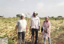 अवकाळी पावसाने शेतात झोपलेली पिके शिवसेना (उबाठा) ने तहसीलदारांच्या दालनात आणून टाकण्याच्या धास्तीने भाडगणी येथील नुकसानग्रस्त शेतकऱ्यांचा प्रशासनाने केला सर्व्हे