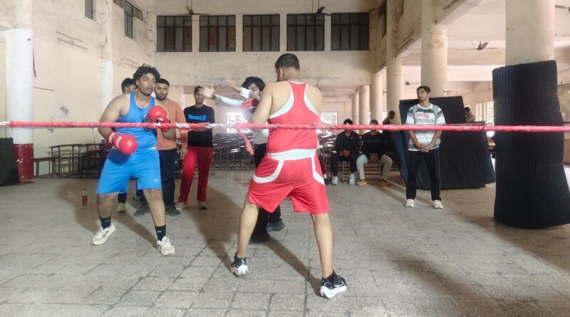 Inter College Boxing Tournament में Iqra College का शानदार प्रदर्शन, Haseeb Sheikh ने जीता Gold Medal
