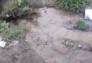 जुन्या पीएम हाऊसजवळ पाईपलाईन गळती; तक्रार करूनही तोडगा नसल्याचा नागरिकाचा दावा